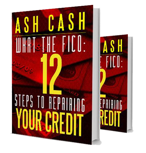 What the FICO: 12 Steps to Repairing Your Credit