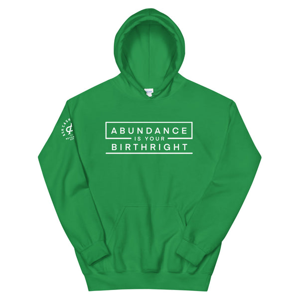 Abudnance is Your Birthright Money Green Unisex Hoodie